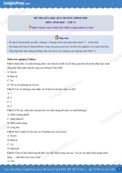 Đề thi giữa kì 1 Sinh 11 Cánh diều - Đề số 4